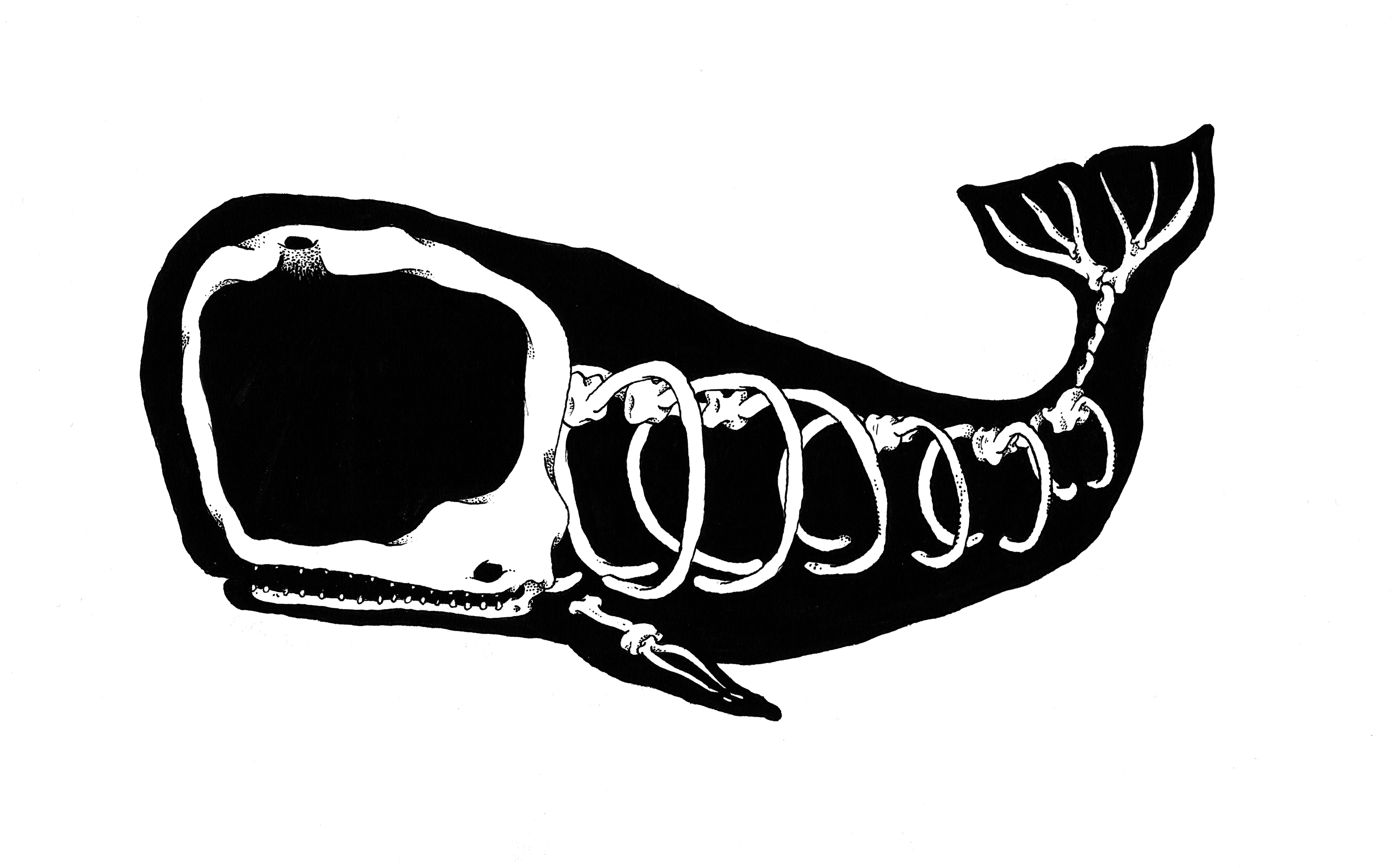 Whale screenprint